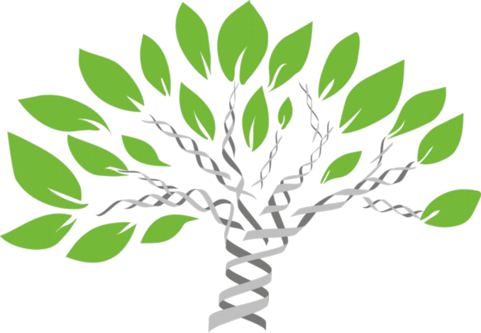 Släktforska med DNA - BIld av mcmurryjulie från Pixabay