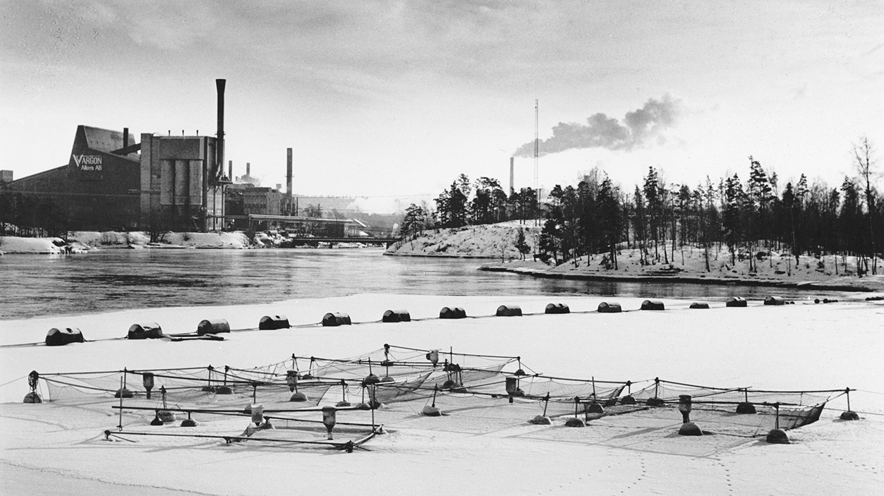 Ett vinterlandskap med en älv, på isen i förgrunden ligger kassar för fiskeodling. I bakgrunden syns en fabrik med rykande skorstenar
