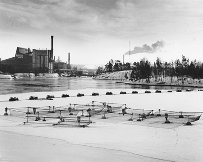 Ett vinterlandskap med en älv, på isen i förgrunden ligger kassar för fiskeodling. I bakgrunden syns en fabrik med rykande skorstenar
