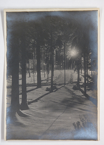 Vinterbild från Hålahult