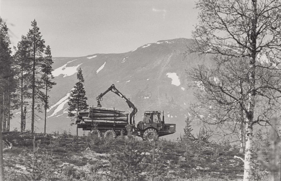 En skogsmaskiv avverkar skog i förgrunden, i bakgrunden syns ett berg