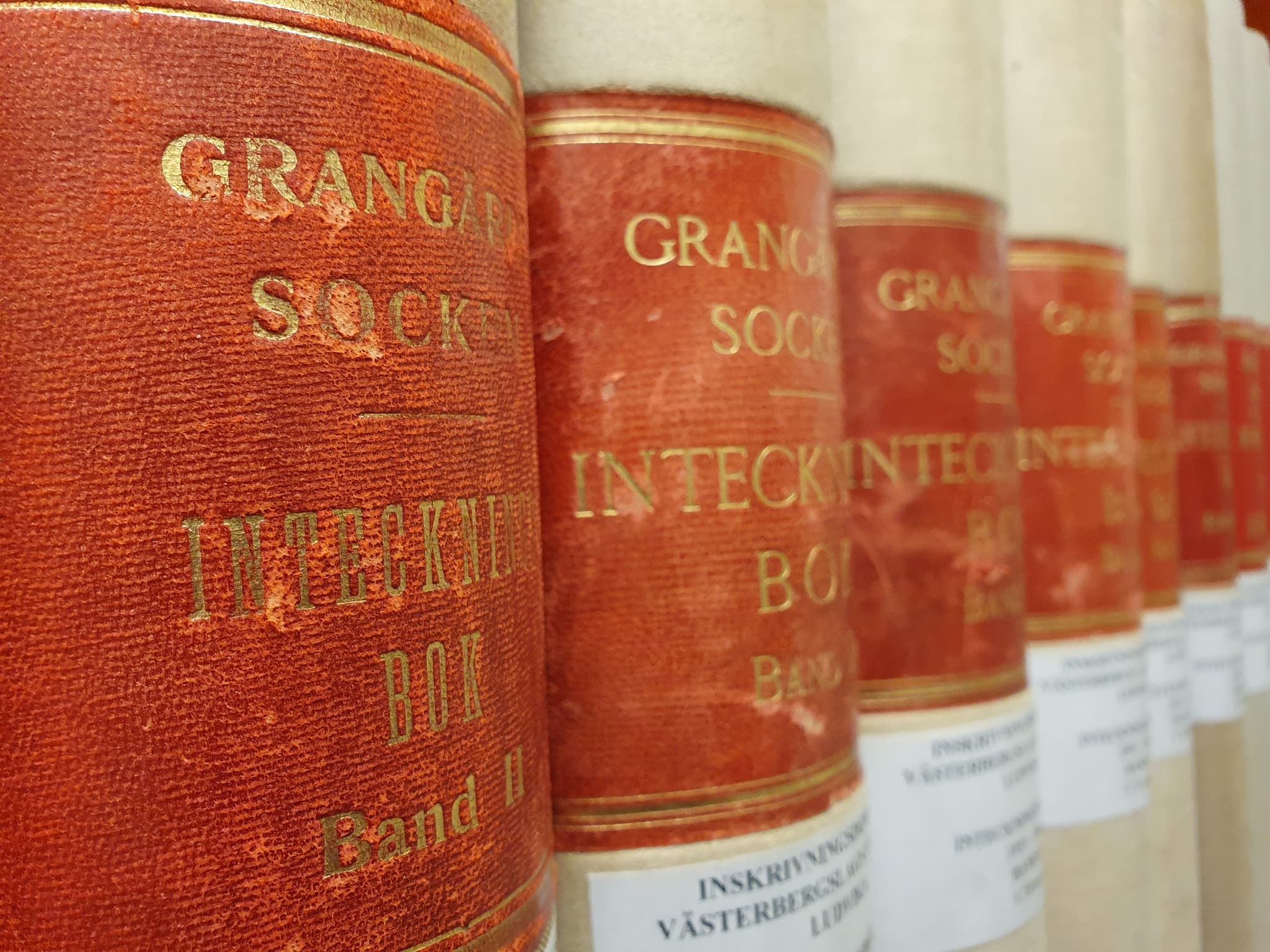 Äldre bokryggar i rött och guld på rad.