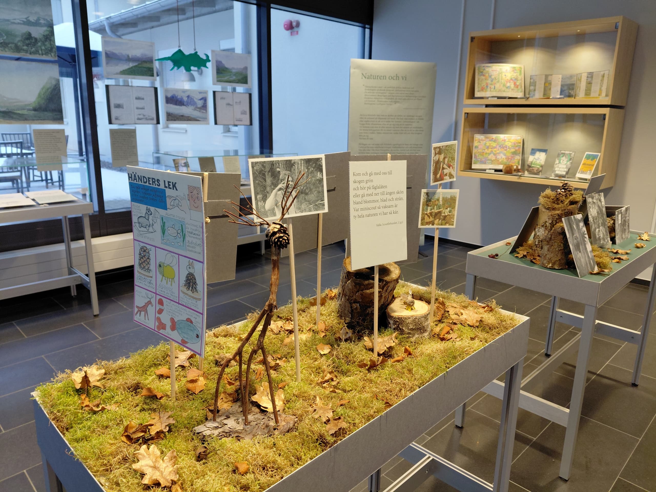 Utställningsmonter med mossa, löv, kottar, stubbar och fotografier.